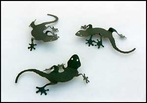 Geckos